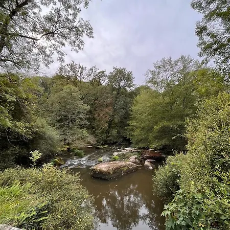 Les Pieds Dans L'eau 10 Min Du Puy Du Fo