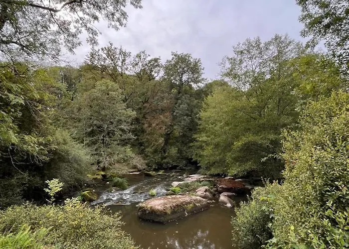 Les Pieds Dans L'eau 10 Min Du Puy Du Fo